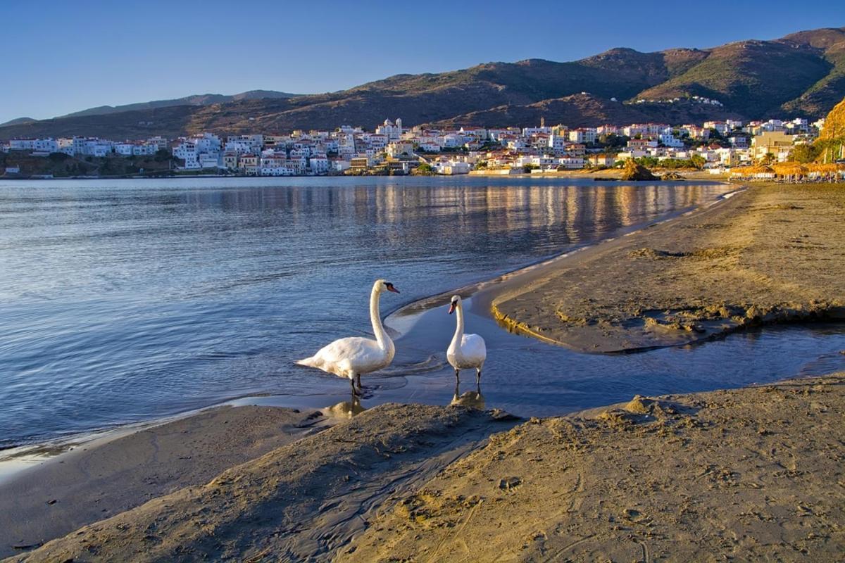 Kontos-Traditional House In Andros Beach ภายนอก รูปภาพ